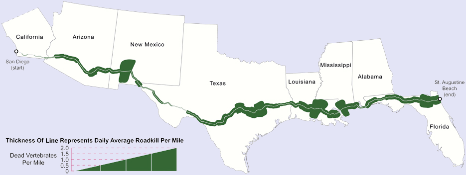 Route Map